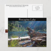 BRIEFKAART ~ "Porcupine Lake" bij Clark Fork, Idah (Voorkant / Achterkant)
