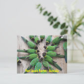 BRIEFKAART - Port Lincoln Parrots Australië (Staand voorkant)