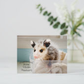 Briefkaart Possum (Staand voorkant)