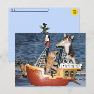 Briefkaart Postcross Pirate Kittens