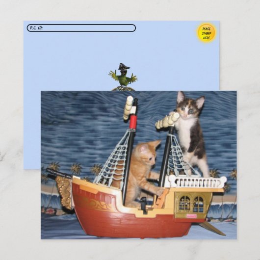 Briefkaart Postcross Pirate Kittens (Voorkant / Achterkant)