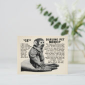 Briefkaart  postorder (Staand voorkant)