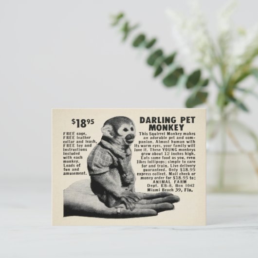 Briefkaart  postorder (Staand voorkant)