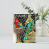 Briefkaart prachtige kleurrijke papaver (Staand voorkant)