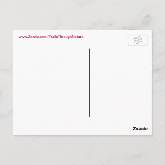 Briefkaart prachtige kleurrijke papaver (Achterkant)