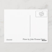 Briefkaart predikMan (Achterkant)