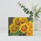 Briefkaart / Prickly Pear Cactus (Staand voorkant)