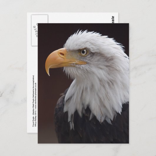 Briefkaart Proud Eagle (Voorkant / Achterkant)