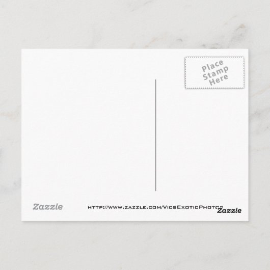 Briefkaart Puerto Rico (Achterkant)