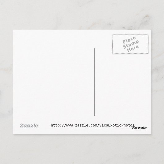 Briefkaart Puerto Rico (Achterkant)