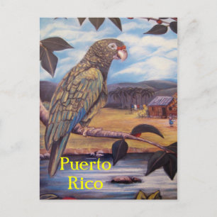 Briefkaart Puerto Rico