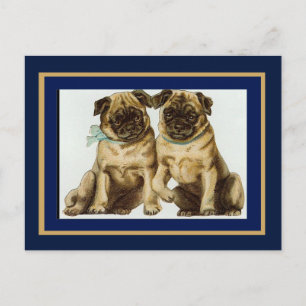 Briefkaart  Pug Dogs