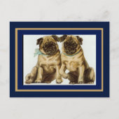 Briefkaart  Pug Dogs (Voorkant)
