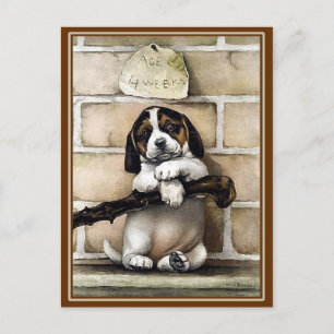 Briefkaart: "Puppy, 4 weken oud" Briefkaart