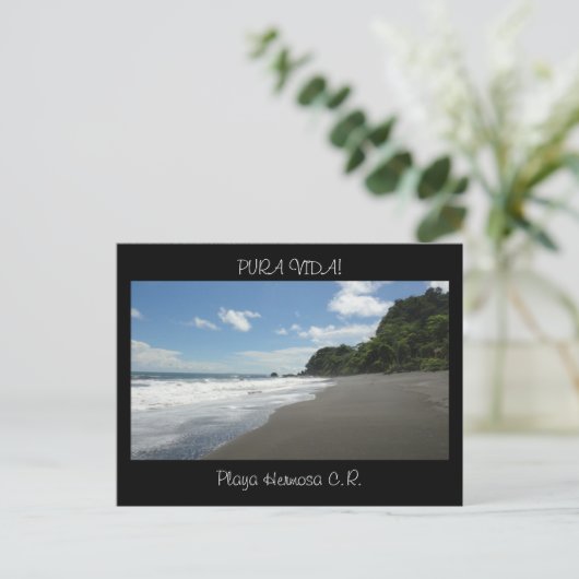 Briefkaart Pura Vida (Staand voorkant)