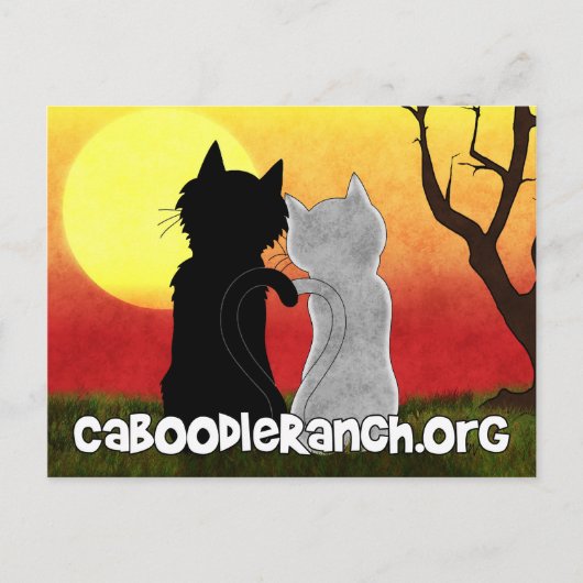 briefkaart "Purrfect" (Voorkant)