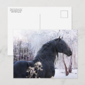 briefkaart "Raphael & Snowy Trees" (Voorkant / Achterkant)