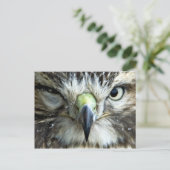 Briefkaart Raptor (Staand voorkant)