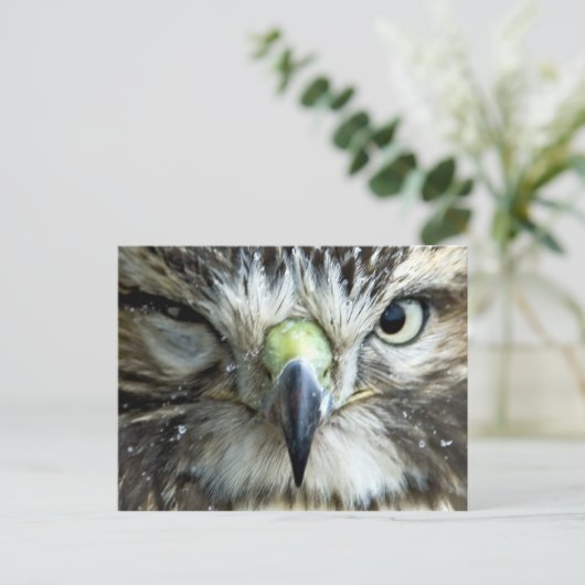 Briefkaart Raptor (Staand voorkant)