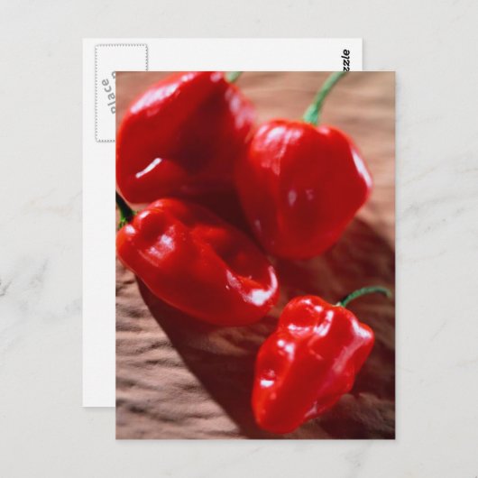 BRIEFKAART RED CHILI PEPPERS (Voorkant / Achterkant)