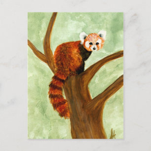Briefkaart Red Panda
