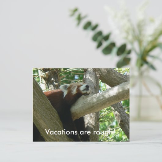 Briefkaart Red Panda (Staand voorkant)