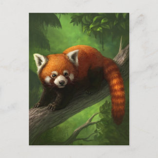 Briefkaart Red Panda
