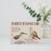 Briefkaart reisketting: Vogels van de Galapagos (Staand voorkant)