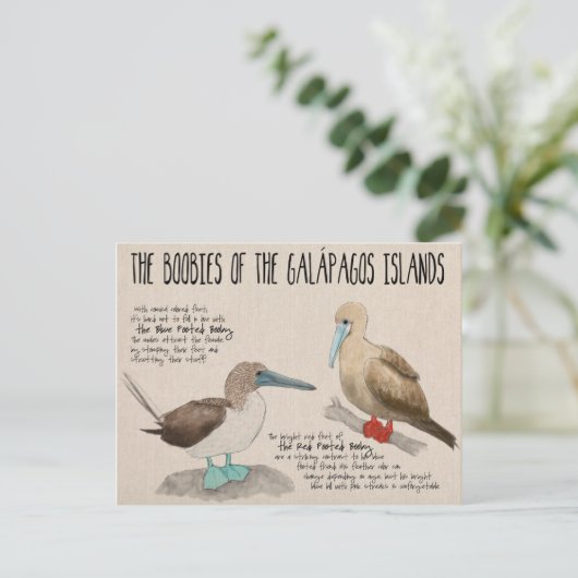 Briefkaart reisketting: Vogels van de Galapagos (Staand voorkant)