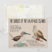 Briefkaart reisketting: Vogels van de Galapagos (Voorkant / Achterkant)