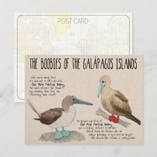 Briefkaart reisketting: Vogels van de Galapagos (Voorkant / Achterkant)
