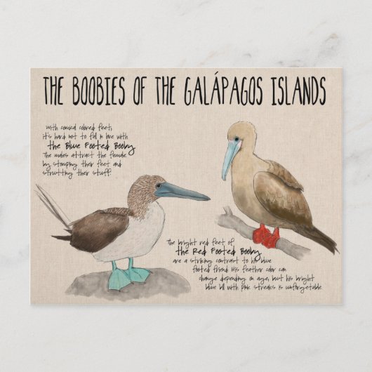 Briefkaart reisketting: Vogels van de Galapagos (Voorkant)