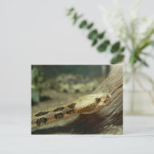 Briefkaart remmen (Staand voorkant)