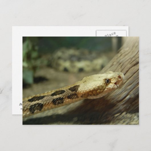 Briefkaart remmen (Voorkant / Achterkant)