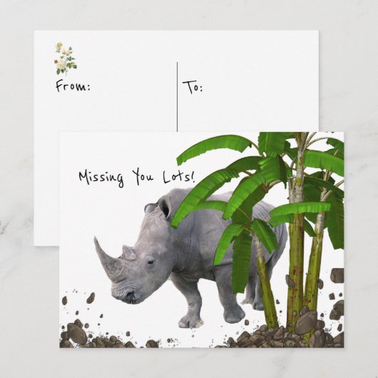 Briefkaart Rhinoceros Vermist je veel! (Voorkant / Achterkant)