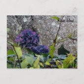 Briefkaart Rhode Island (Voorkant)