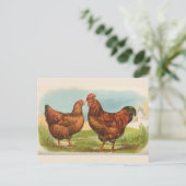  Briefkaart "Rhode Island Red Chicken" (Staand voorkant)