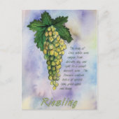 Briefkaart Riesling Wine Grapes (Voorkant)