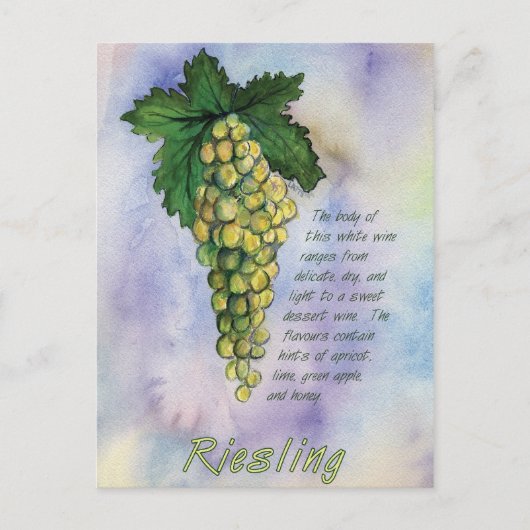 Briefkaart Riesling Wine Grapes (Voorkant)