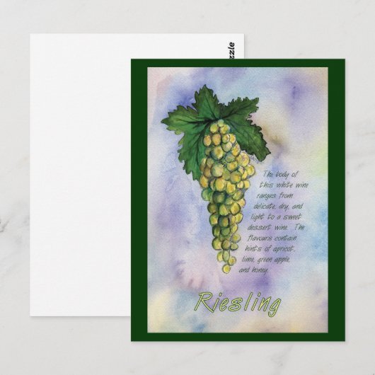 Briefkaart rijpe witte wijndruiven (Voorkant / Achterkant)