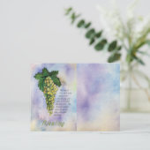 Briefkaart rijpe witte wijndruiven (Staand voorkant)