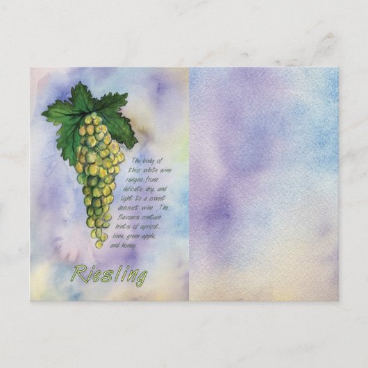 Briefkaart rijpe witte wijndruiven (Voorkant)