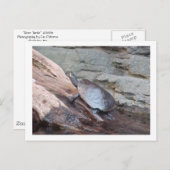 briefkaart "River Turtle" (Voorkant / Achterkant)