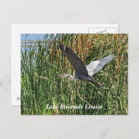 Briefkaart Riverside Estatmeer (Voorkant / Achterkant)