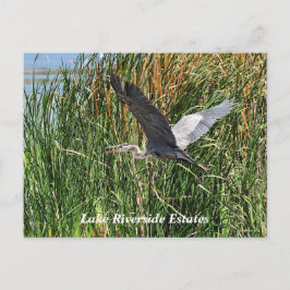 Briefkaart Riverside Estatmeer