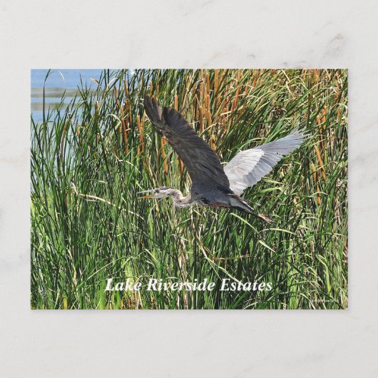 Briefkaart Riverside Estatmeer (Voorkant)