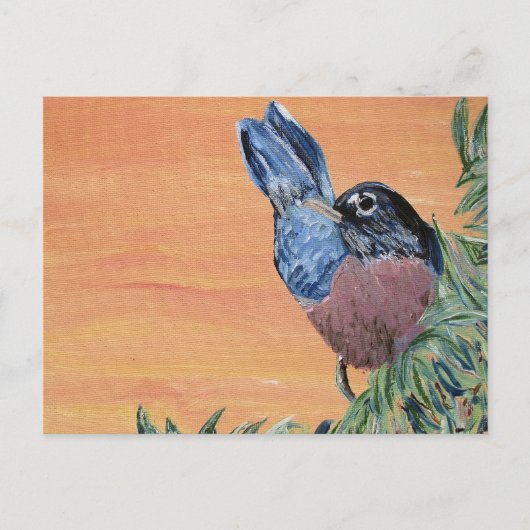 Briefkaart - Robin Acrylschilderen (Voorkant)