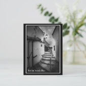 Briefkaart - Robin hoods Bay (Staand voorkant)