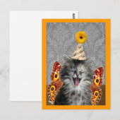 Briefkaart Rock Star kitten (Voorkant / Achterkant)