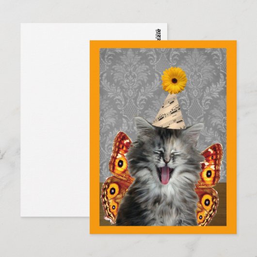 Briefkaart Rock Star kitten (Voorkant / Achterkant)